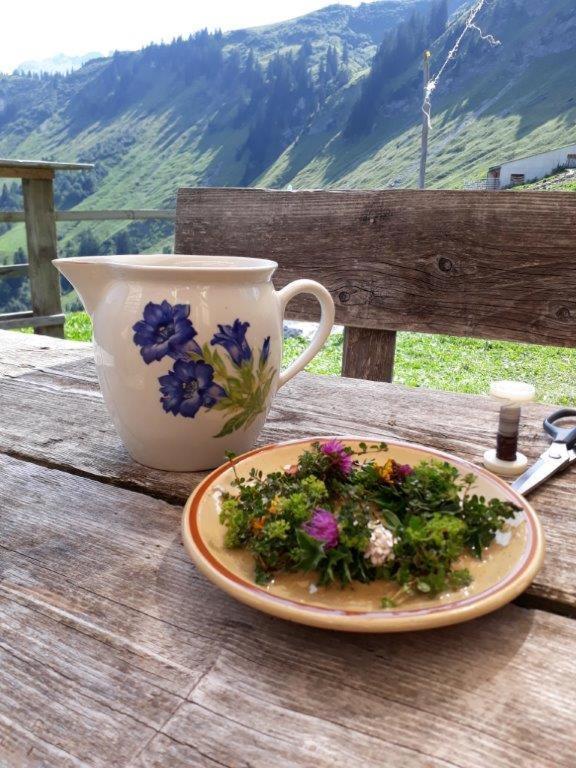 Berghaus Schafer Hotel Faschina Luaran gambar